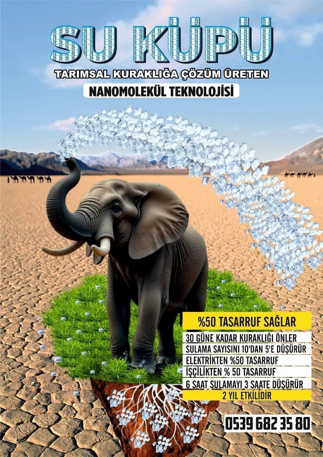 547648459 1074404264774874 5931990415809307199 N