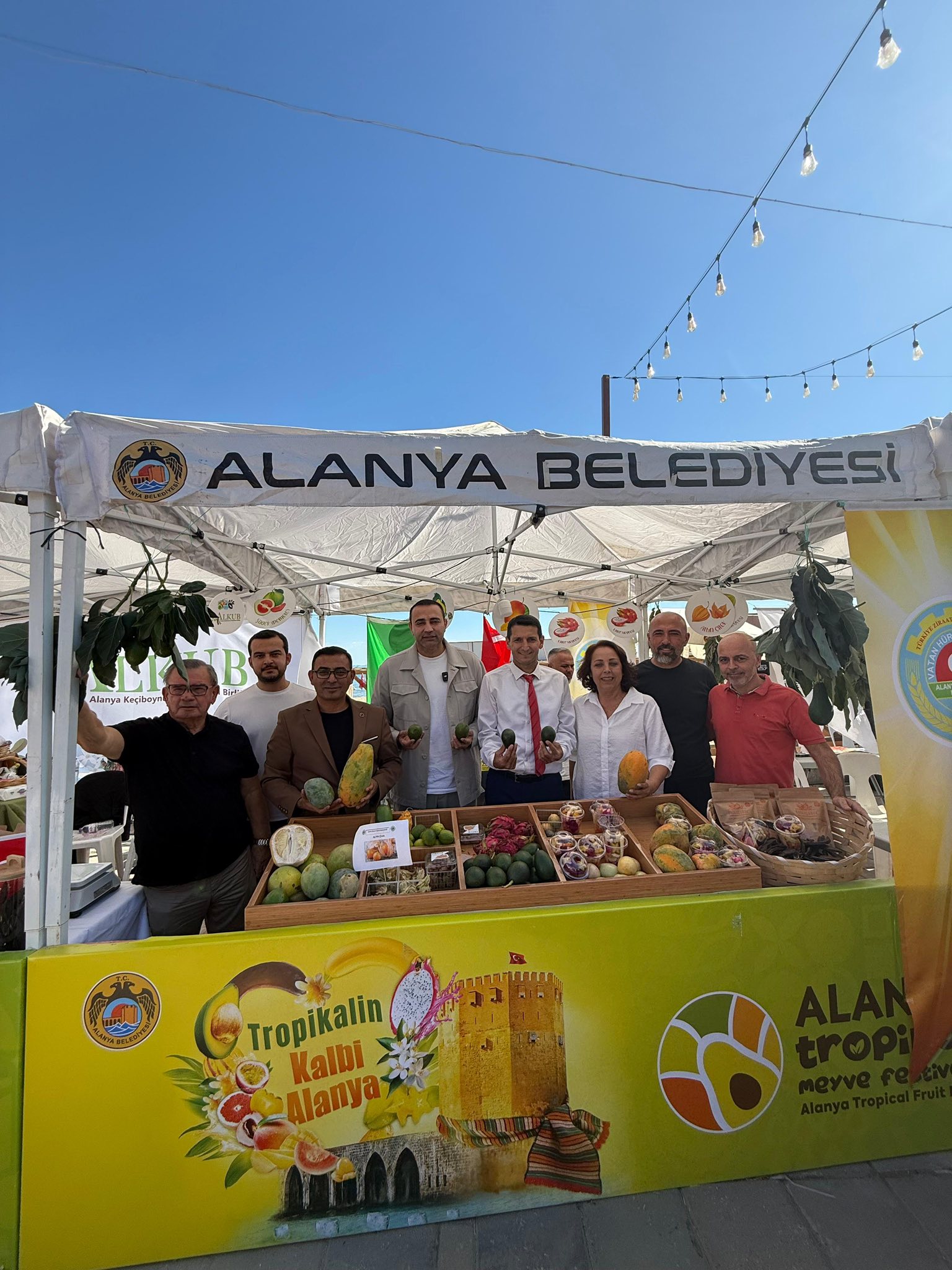 559253738 759844050424536 3265191062858241507 N