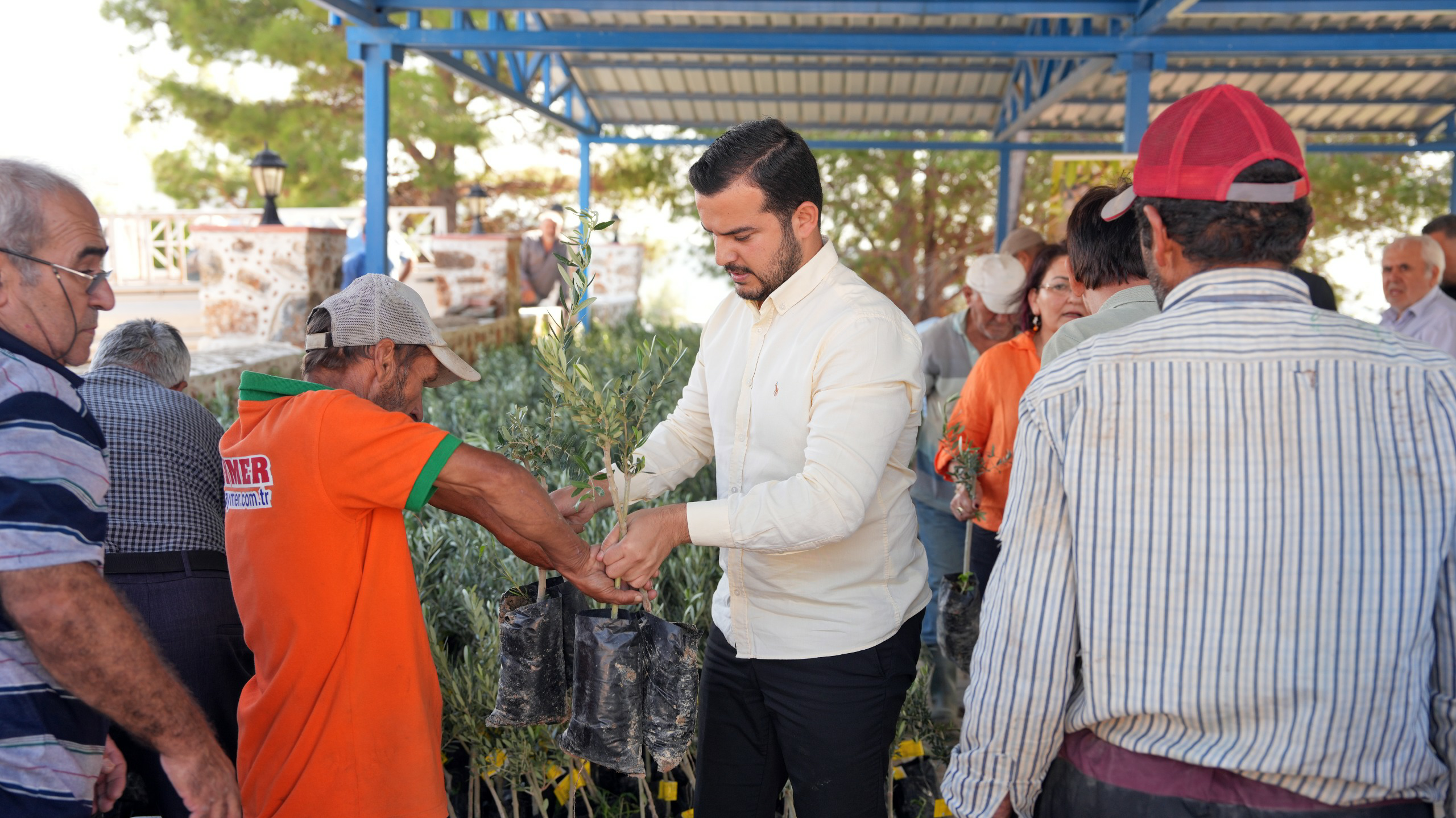 8Fb2Cf79 De9E 44E0 A613 A768C2705D3C