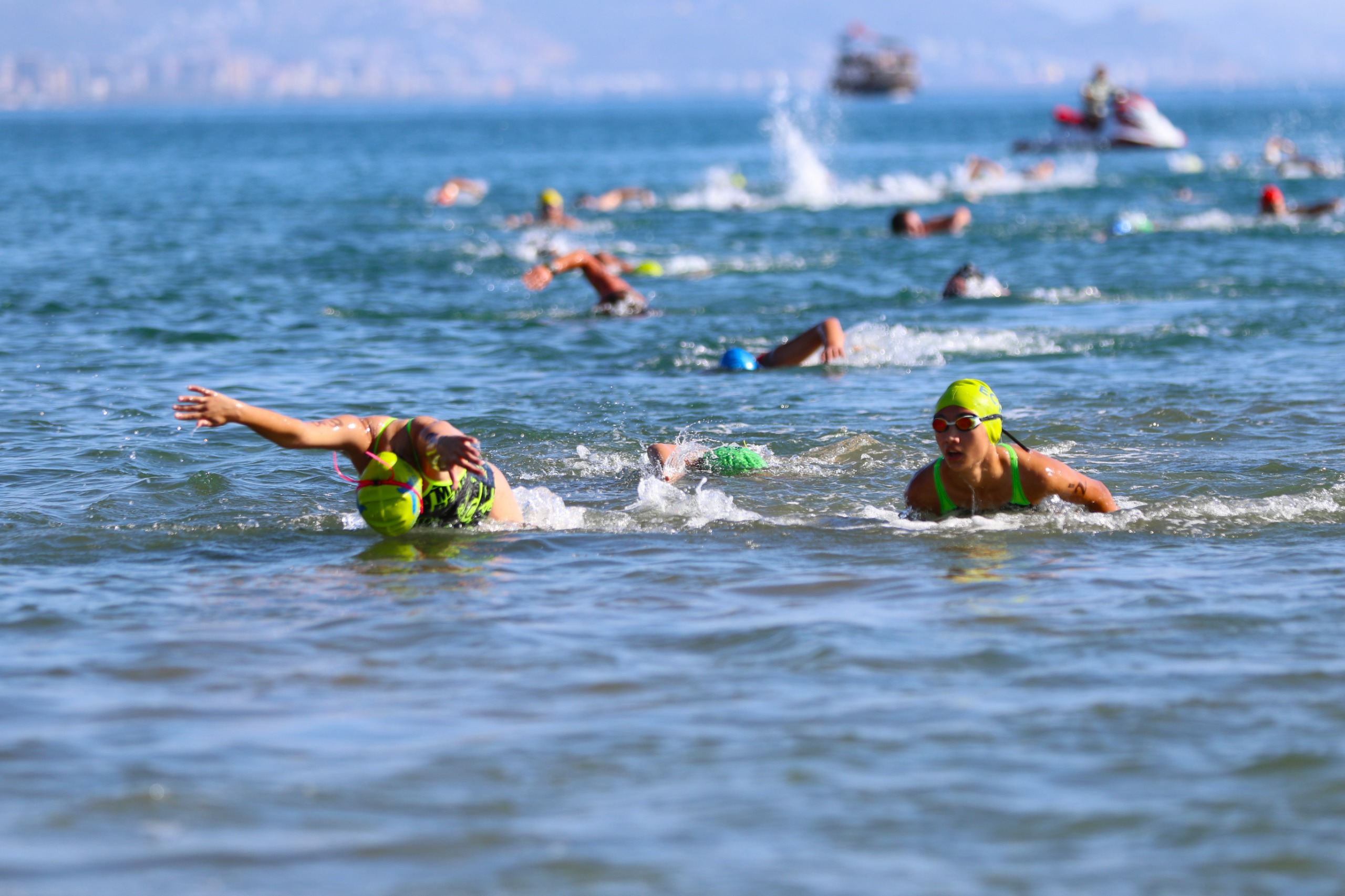 921D622D D683 47Cf B517 3Db56052C40B