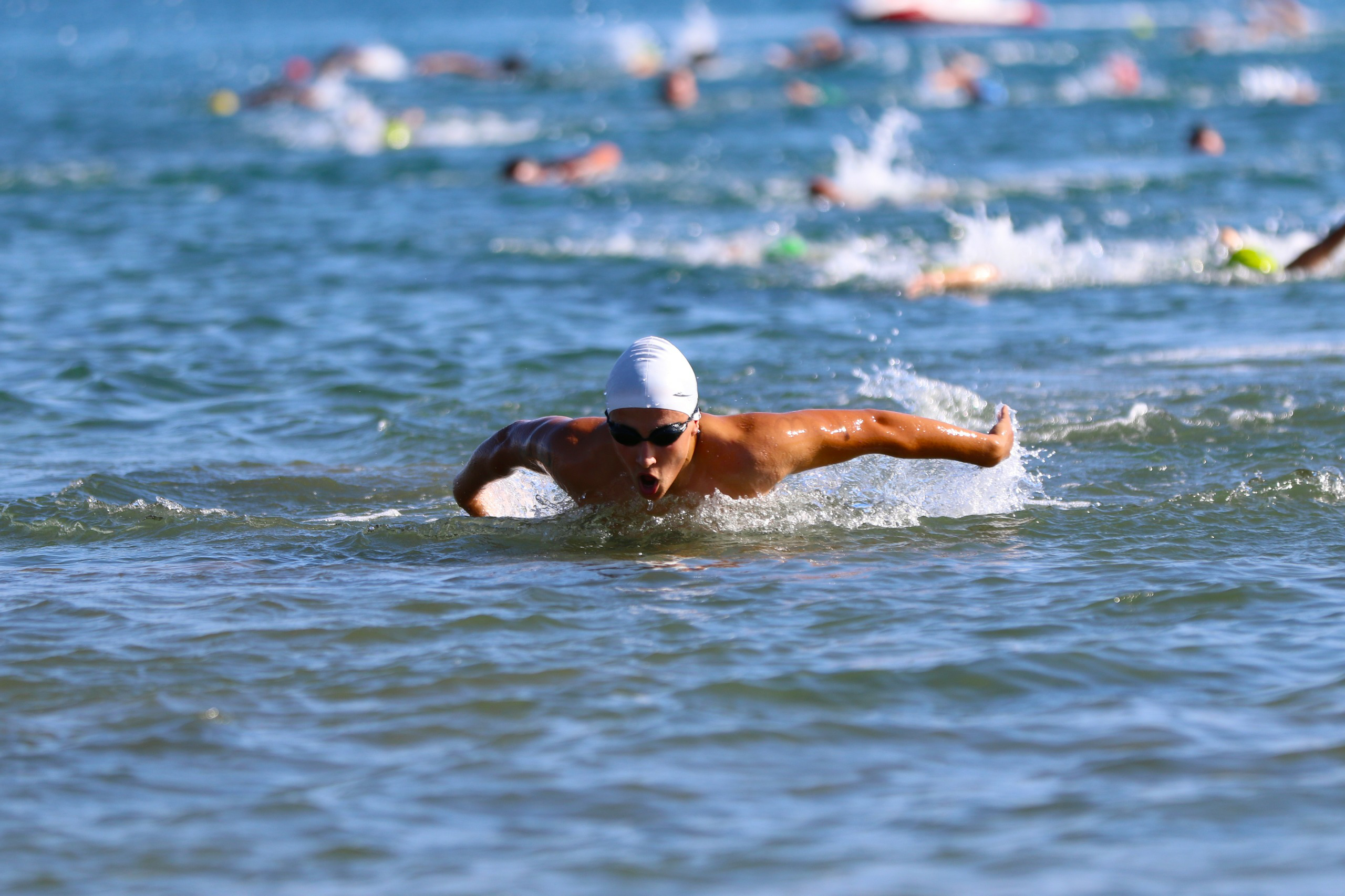 9A64111D Cf17 4Aa2 B653 6Bf3B4473113