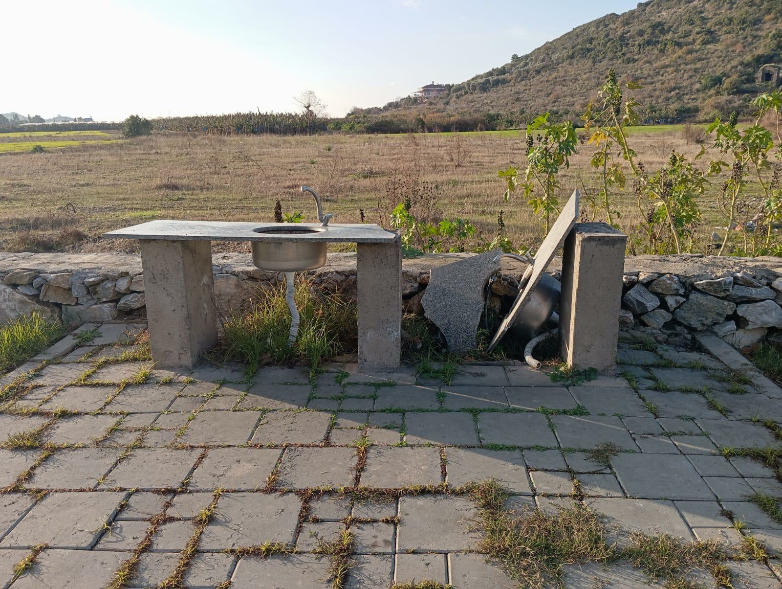 Ae98B041 72A5 4Daf B034 Fc02Fa729E95