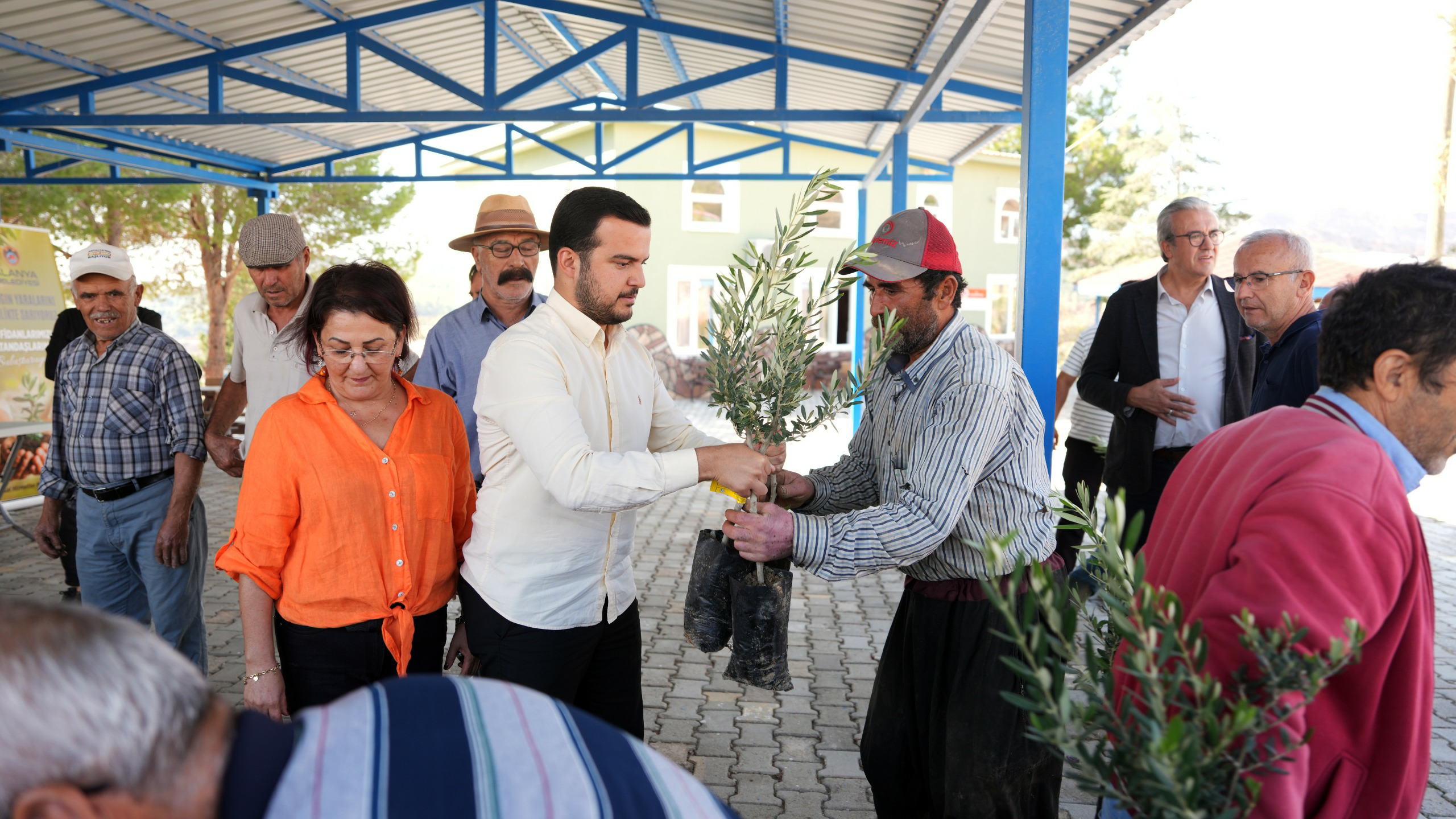 C1Daf6E1 9A50 44E0 B5Ee 9332A2296E53