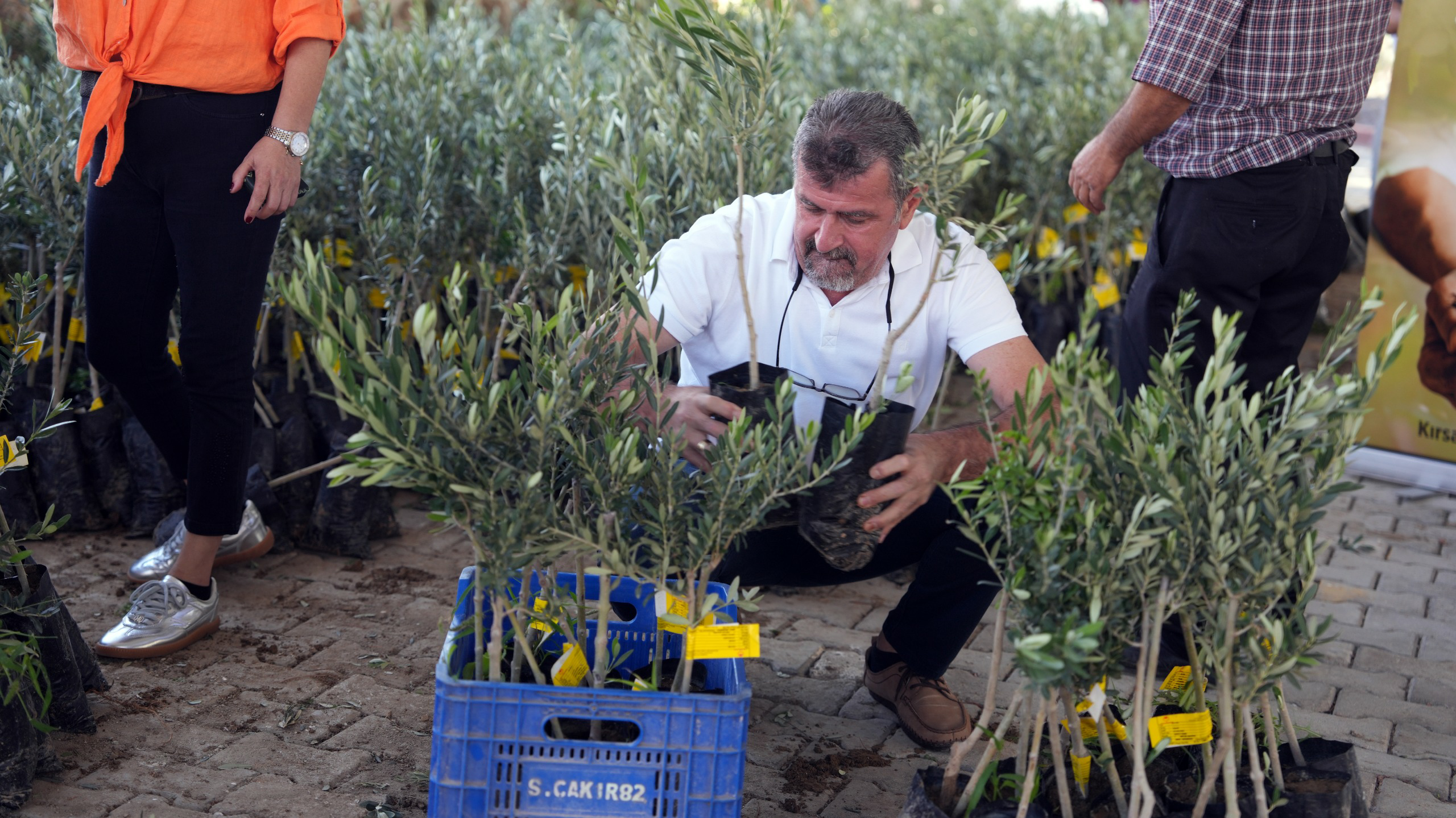 Dc8Df6A1 16Ec 4F0E Bd87 829F63F18Be8