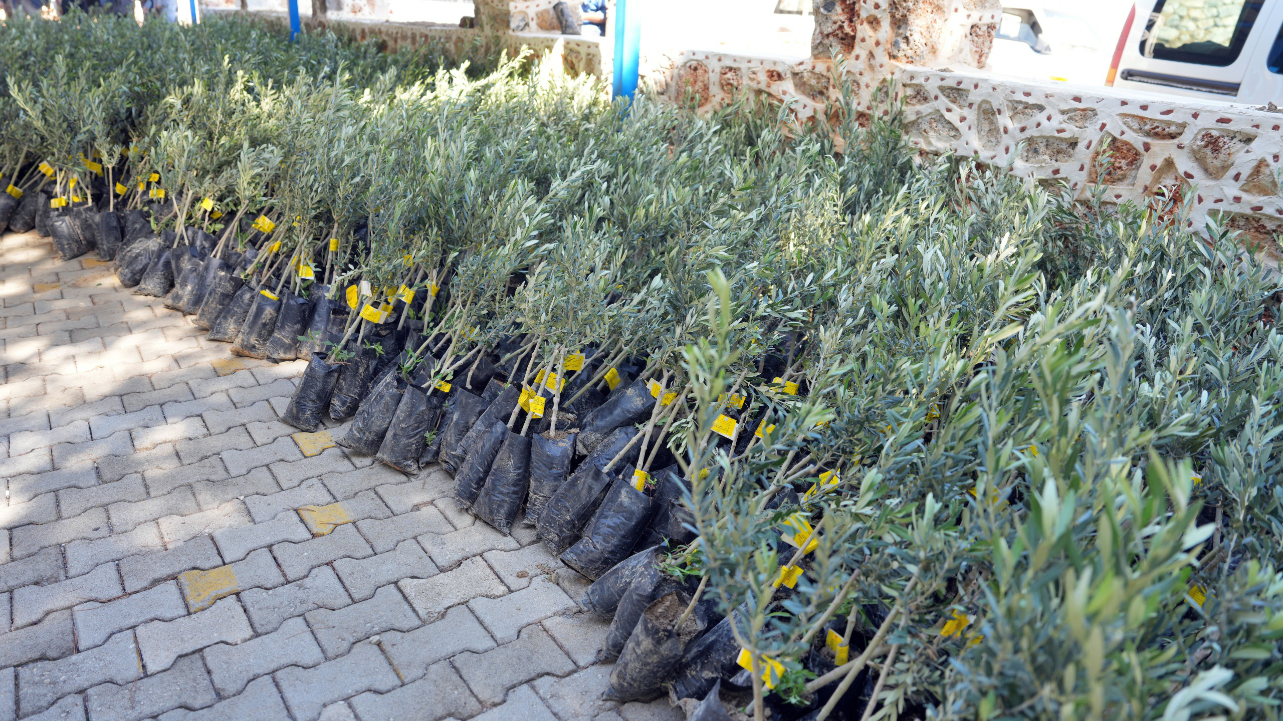 E6Dd0Da3 938B 491D 85F0 0A6356B67F6B