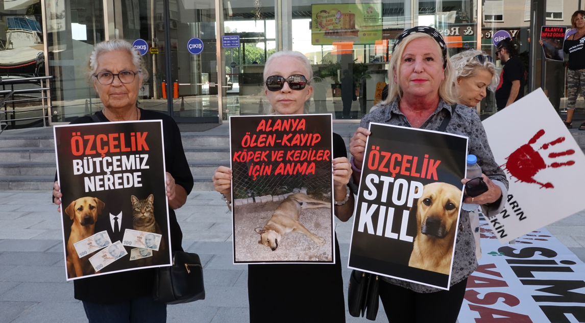 Ekran Görüntüsü 2025 10 04 185043