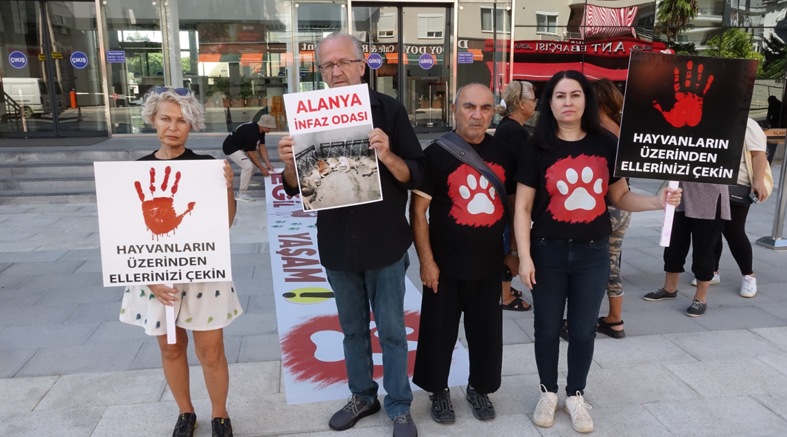 Ekran Görüntüsü 2025 10 04 185101