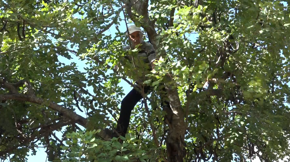 Ekran Görüntüsü 2025 10 05 172953