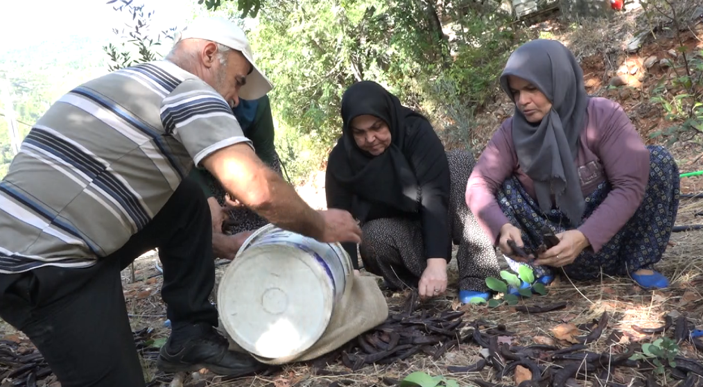 Ekran Görüntüsü 2025 10 05 173030