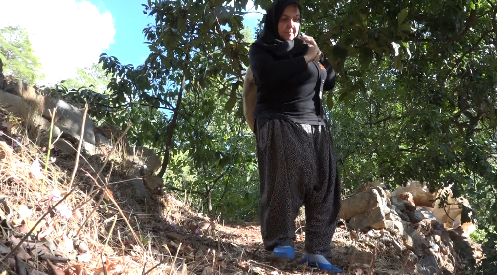 Ekran Görüntüsü 2025 10 05 173101