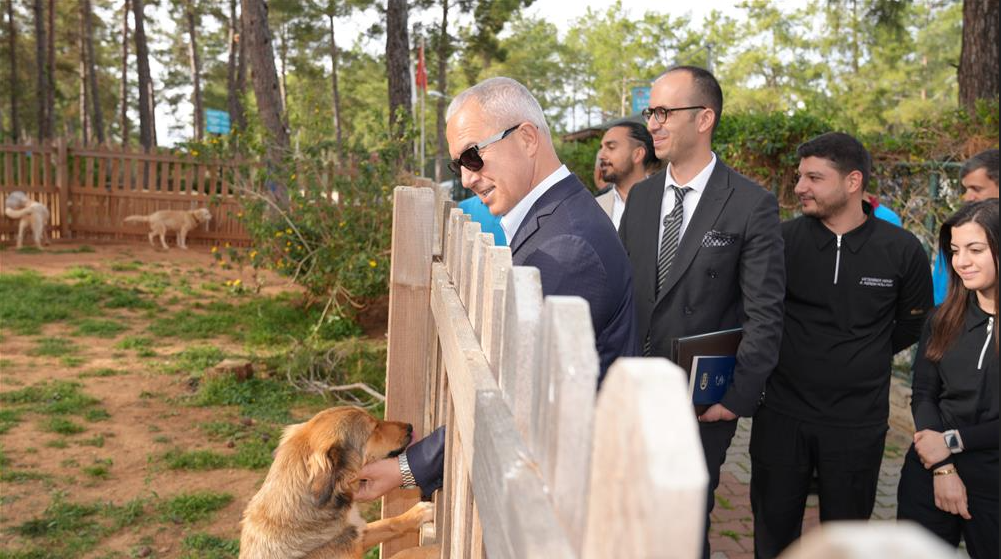 Ekran Görüntüsü 2025 10 07 172523