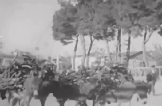 Ekran Görüntüsü 2025 10 24 161500