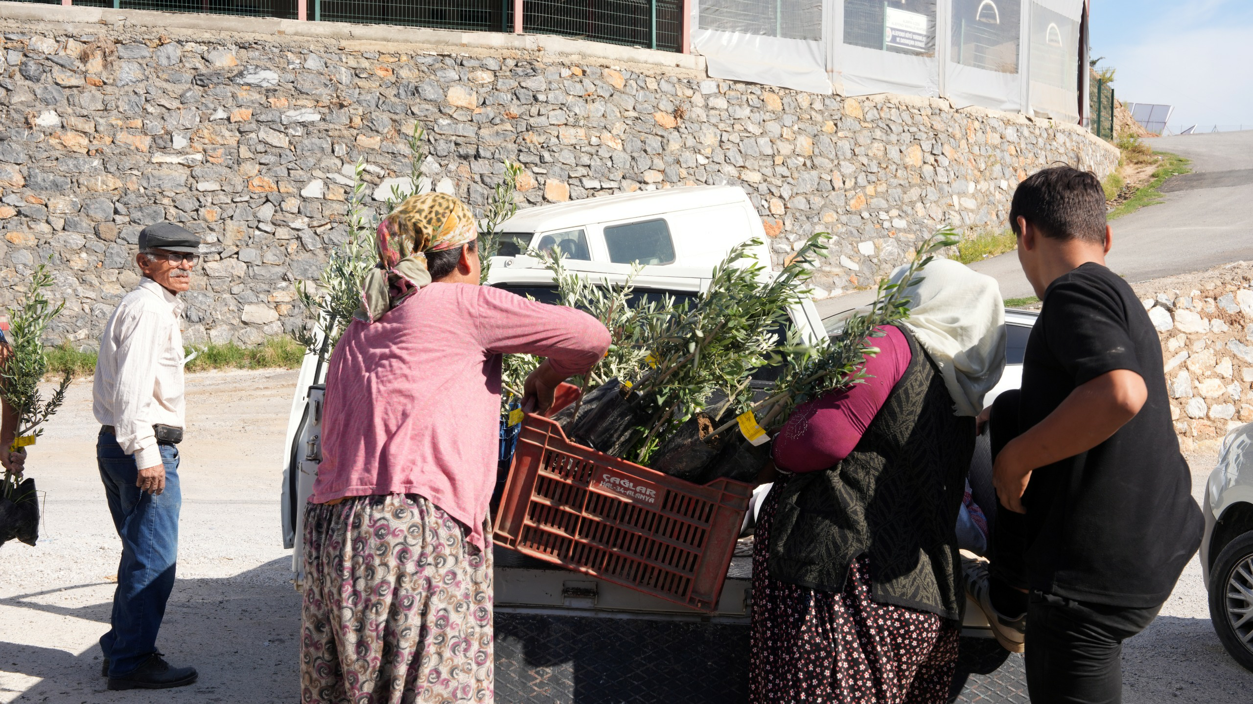 Faf0Deac 21D3 4036 A78C 8De6Ec3F3300