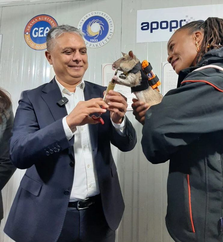 Ekran Görüntüsü 2026 01 08 135721