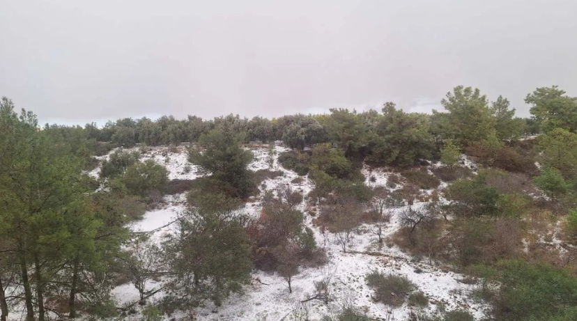 Ekran Görüntüsü 2026 01 13 182056