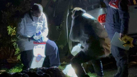 Ekran Görüntüsü 2026 01 16 134821