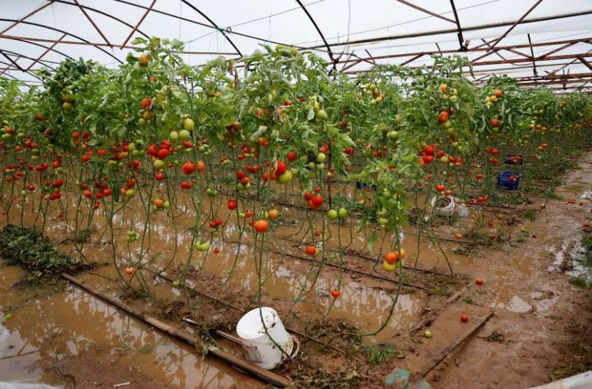 Ekran Görüntüsü 2026 01 23 200211