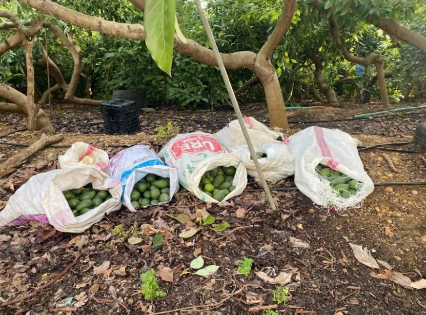 Ekran Görüntüsü 2026 01 26 162111