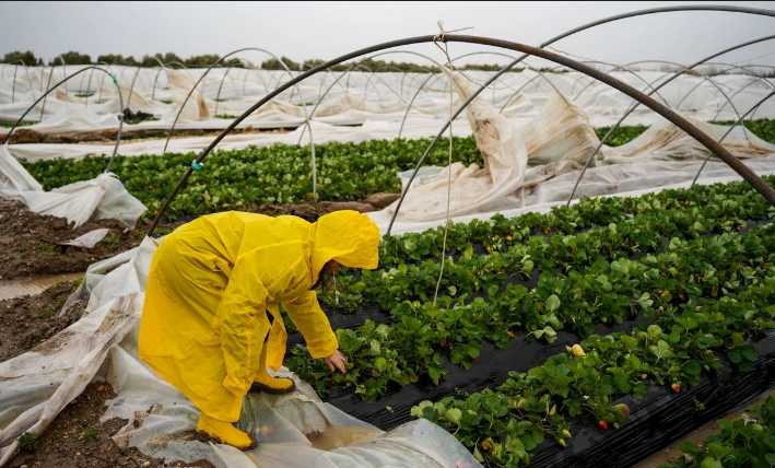 Ekran Görüntüsü 2026 01 28 111954