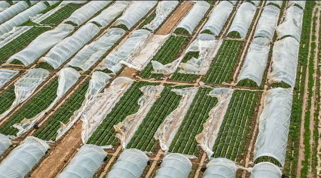 Ekran Görüntüsü 2026 01 28 112028