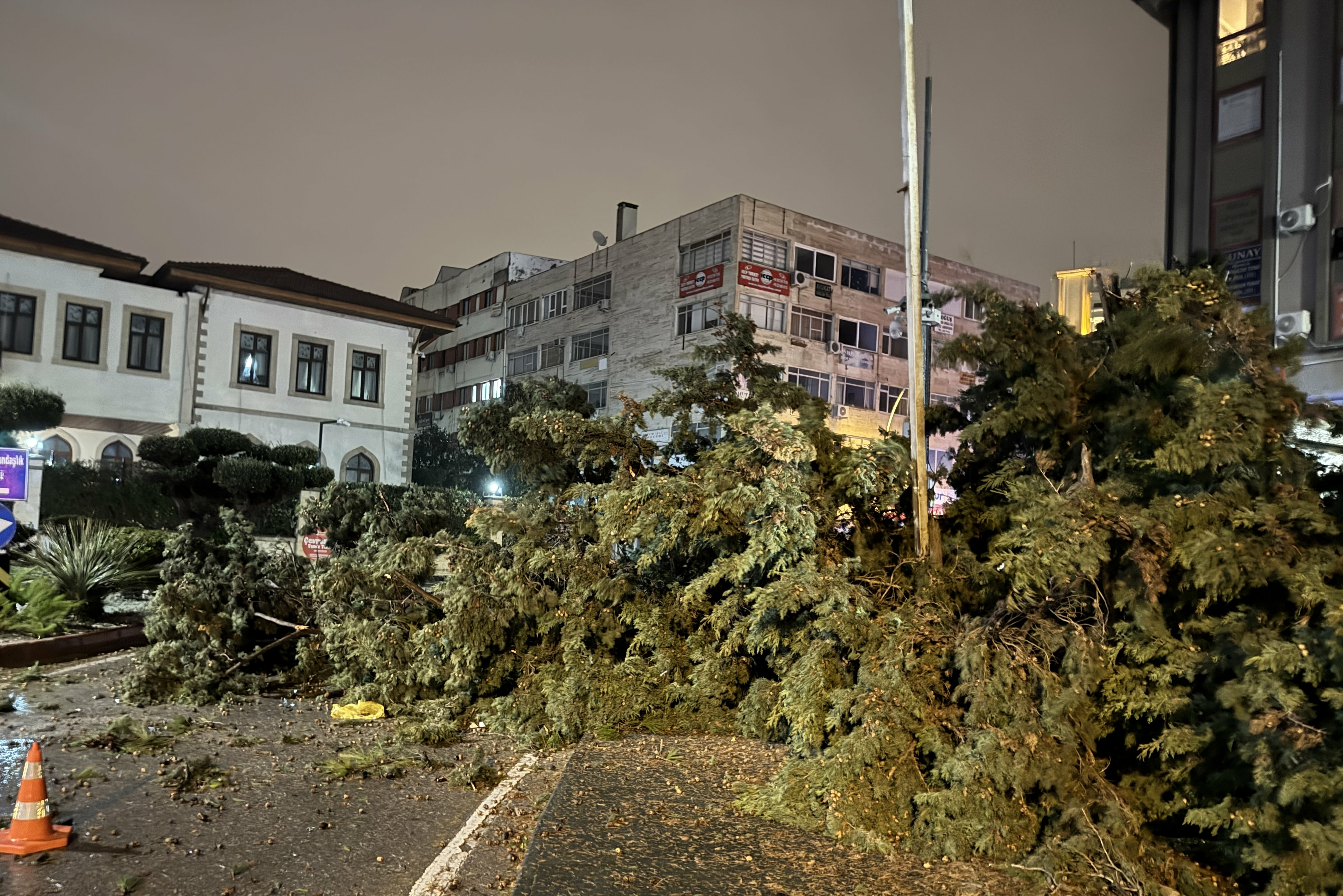 G O Xvqp Wc A Eo74 C