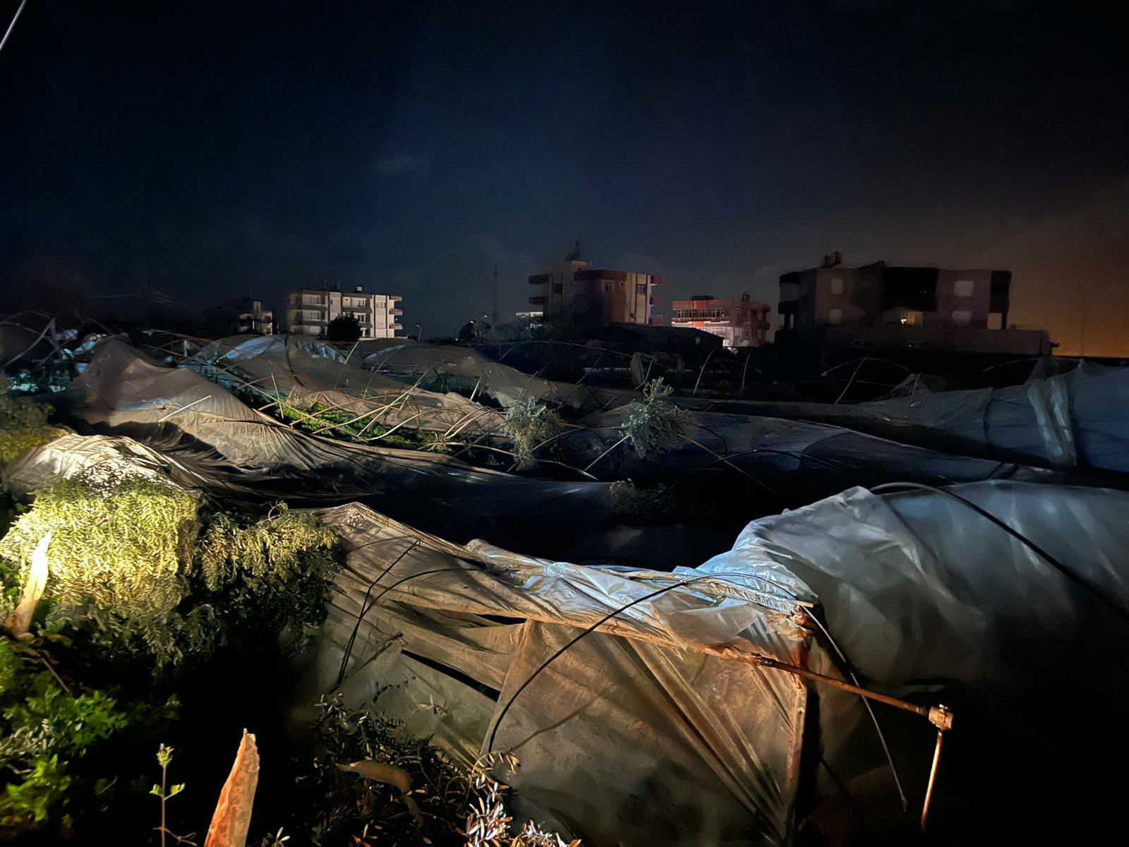 G O Xvqu W M A Acm G6