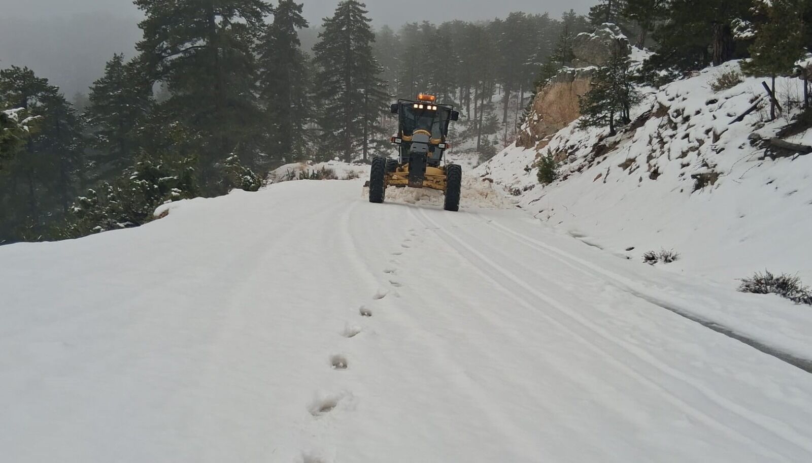 Whatsapp Image 2026 01 28 At 15.48.31 (1)