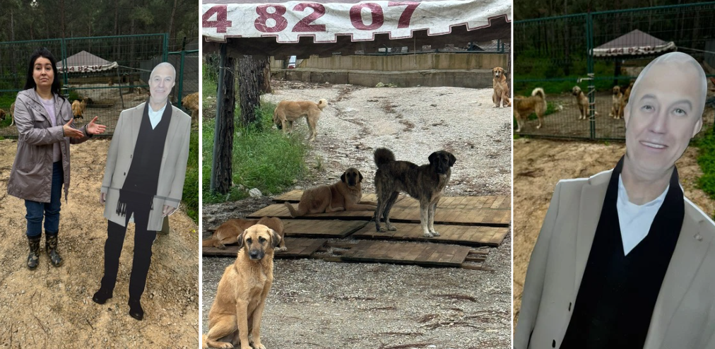 Ekran Görüntüsü 2026 02 02 101248