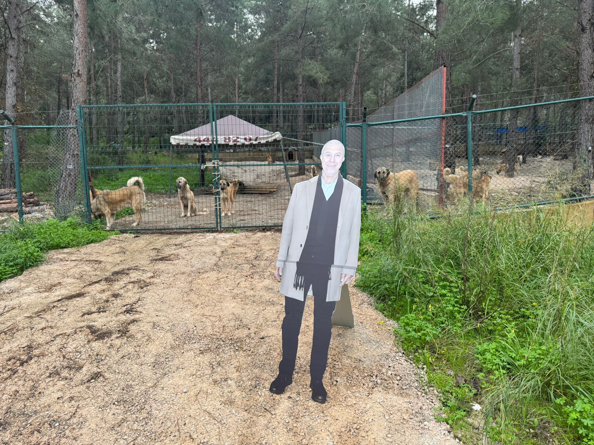 Whatsapp Image 2026 02 01 At 17.52.59 (3)