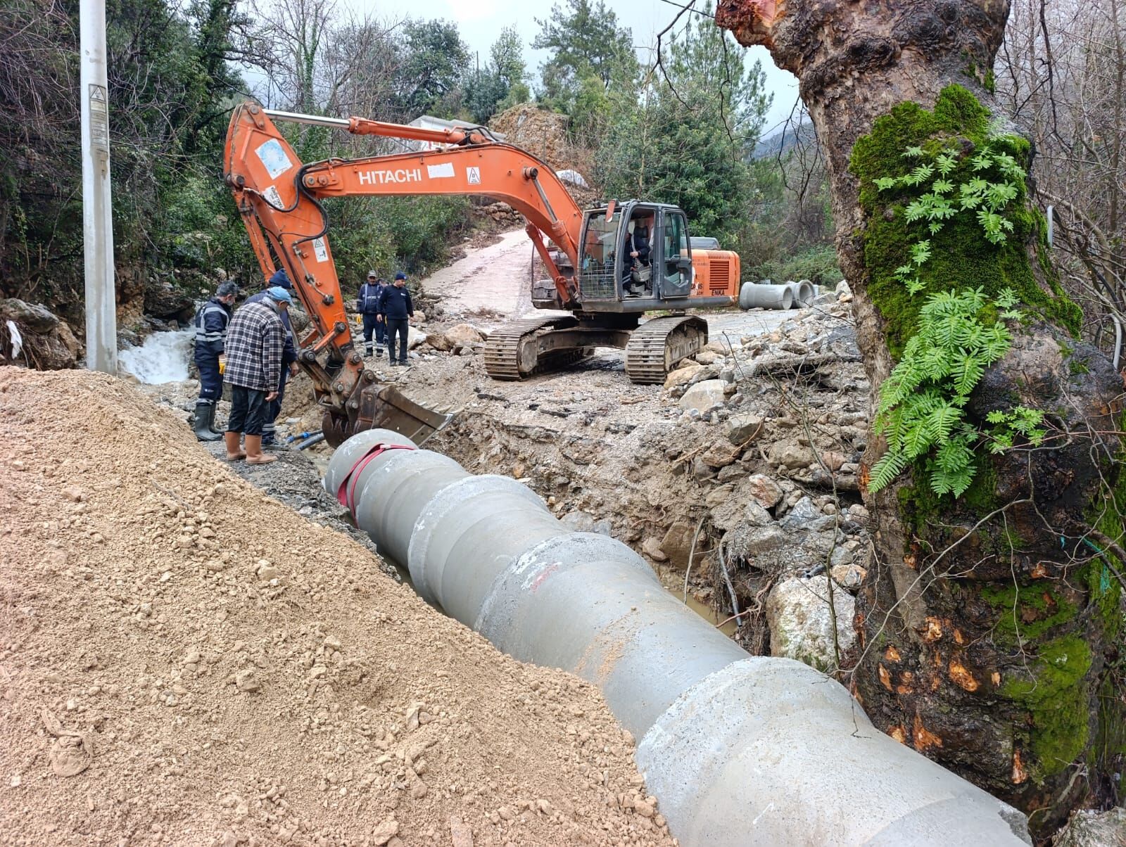 Whatsapp Image 2026 02 12 At 11.46.39