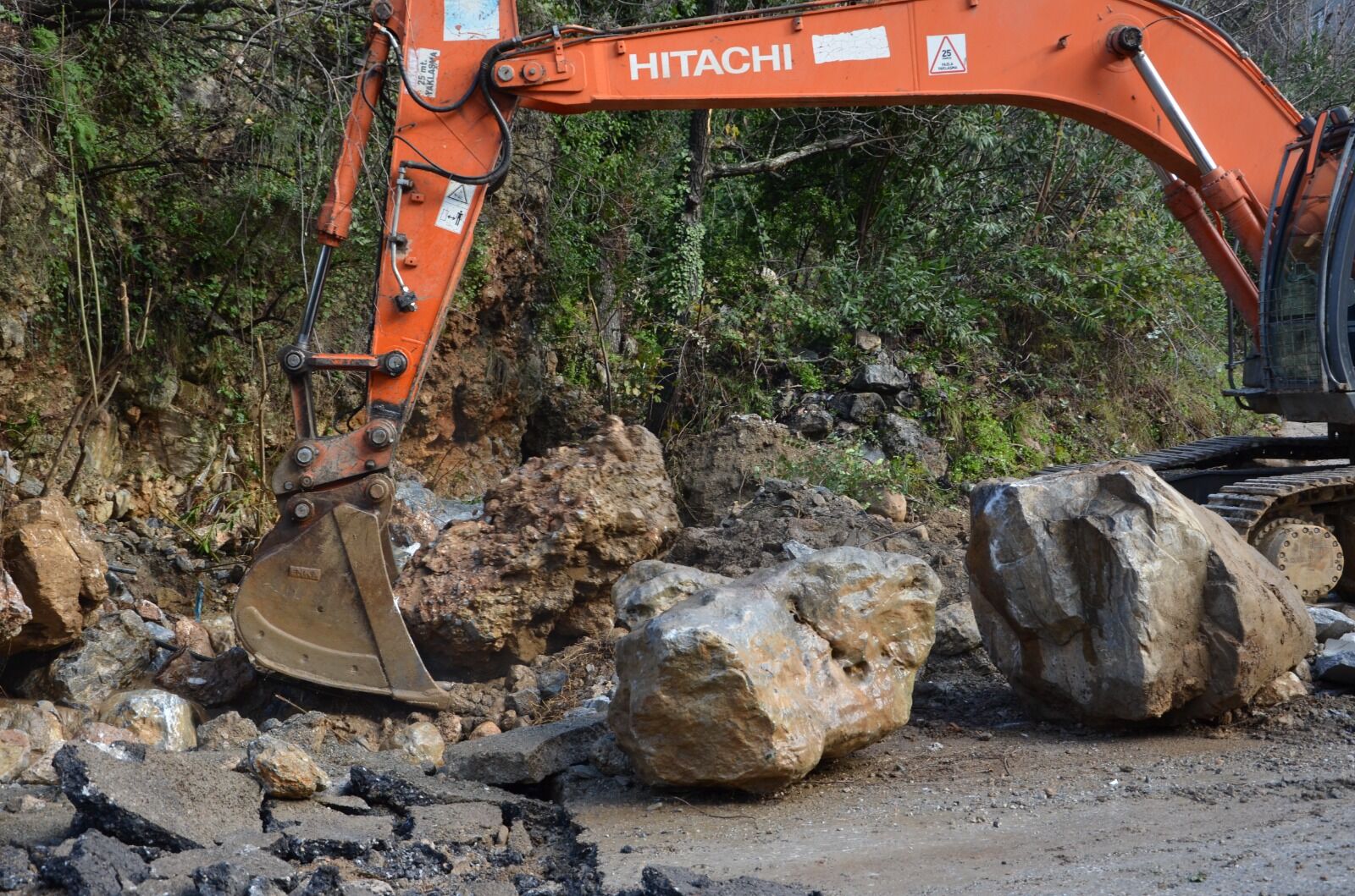 Whatsapp Image 2026 02 12 At 11.46.40