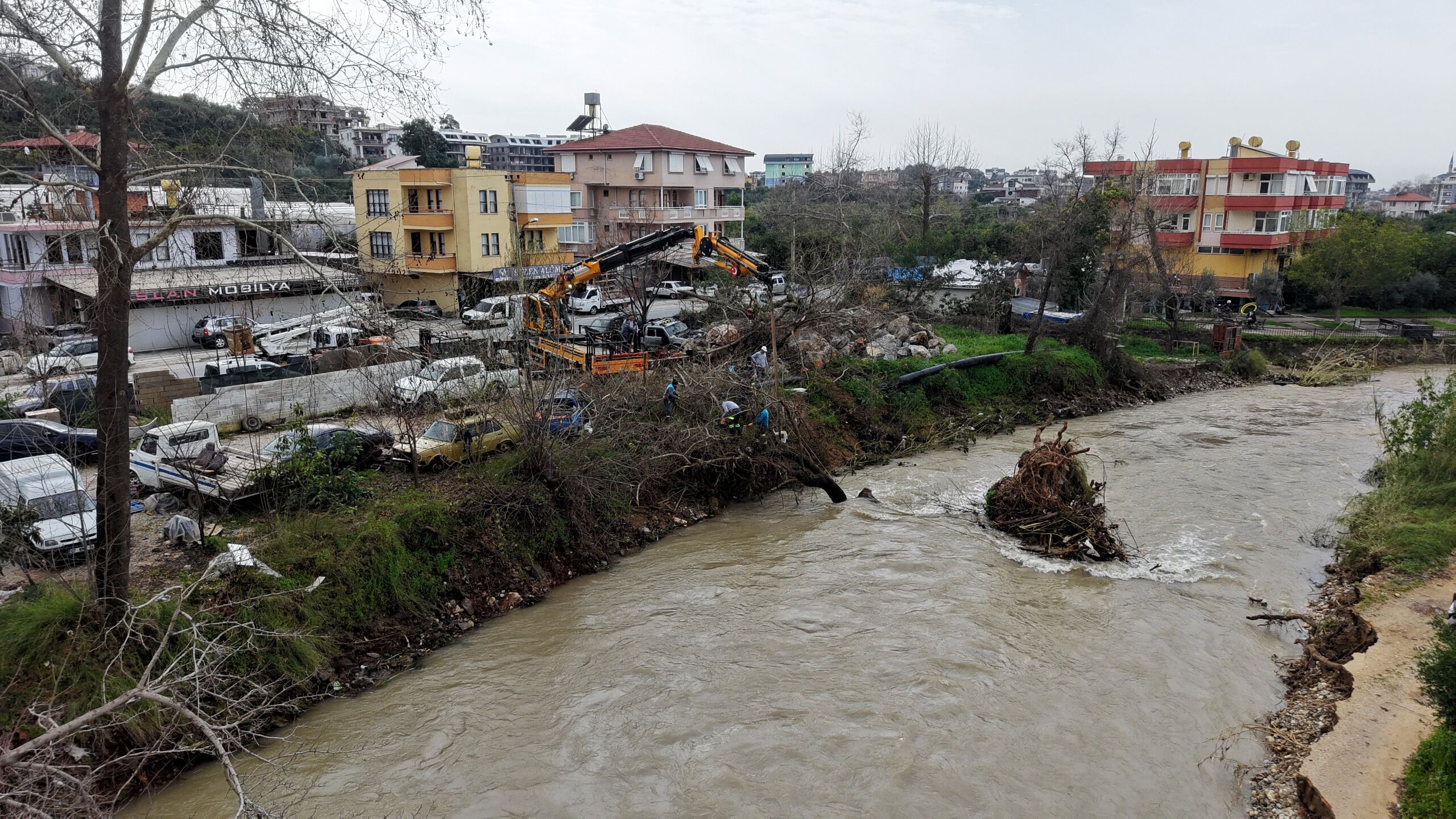 Whatsapp Image 2026 02 16 At 16.59.28