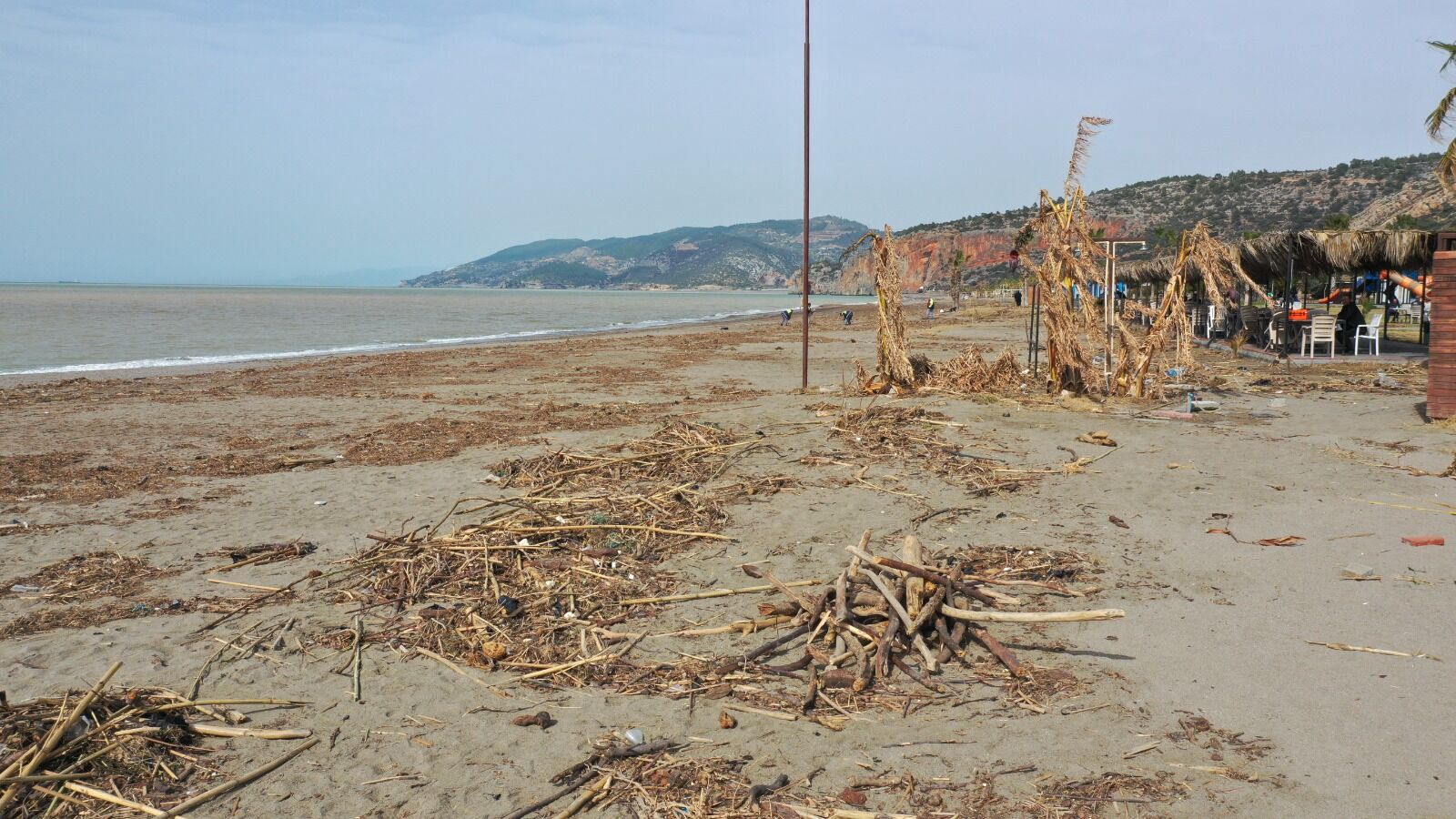 Whatsapp Image 2026 02 20 At 15.47.51