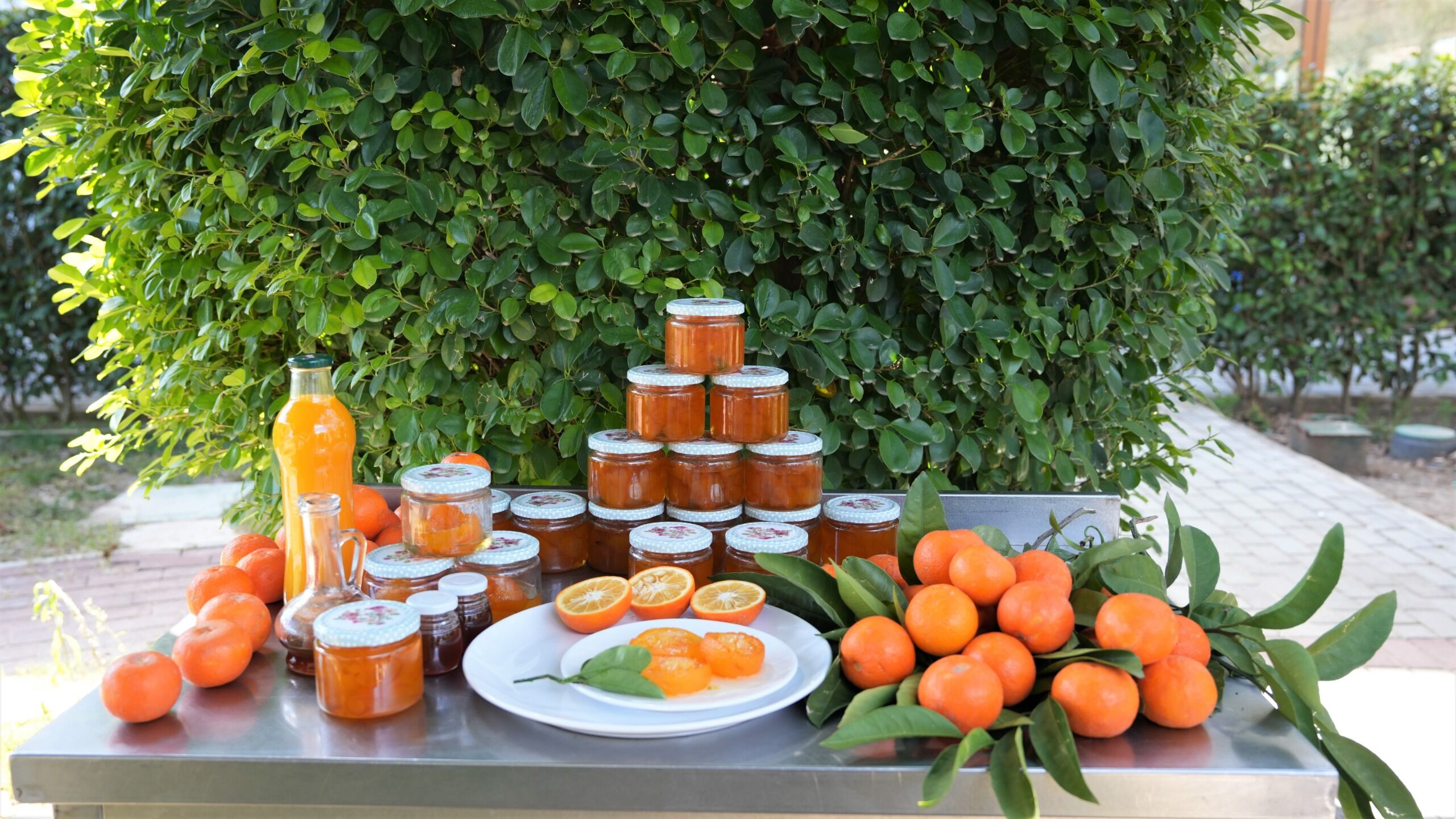 Whatsapp Image 2026 03 05 At 13.59.57