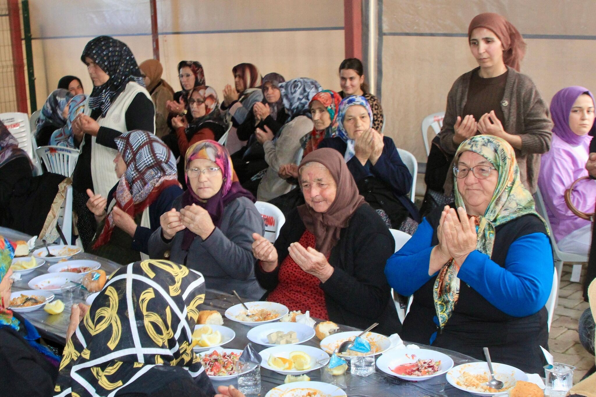 663315745 952350460483661 1214182317284448781 N