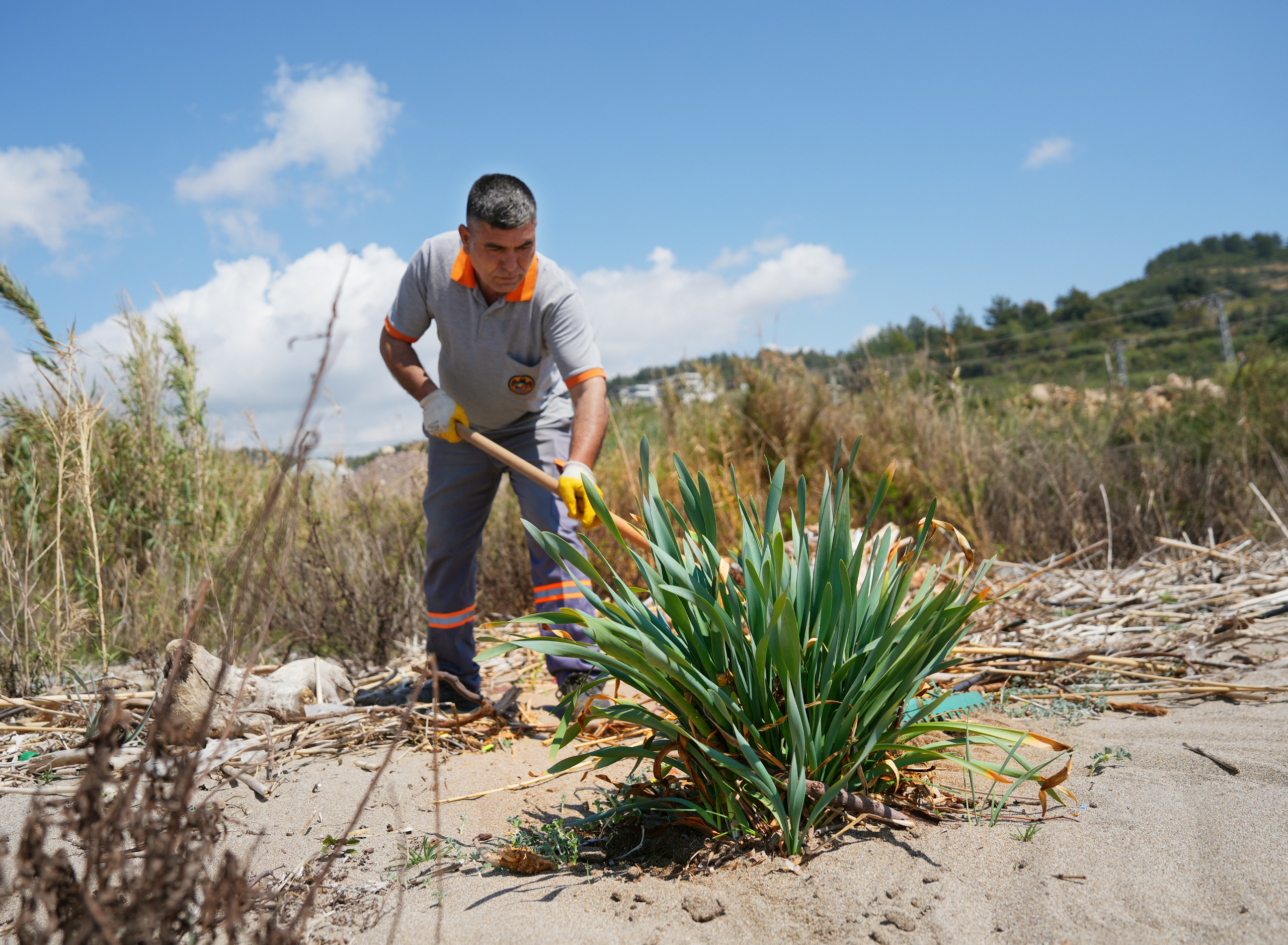 C8Db369C C352 451F B13B 4Fd87B307B23