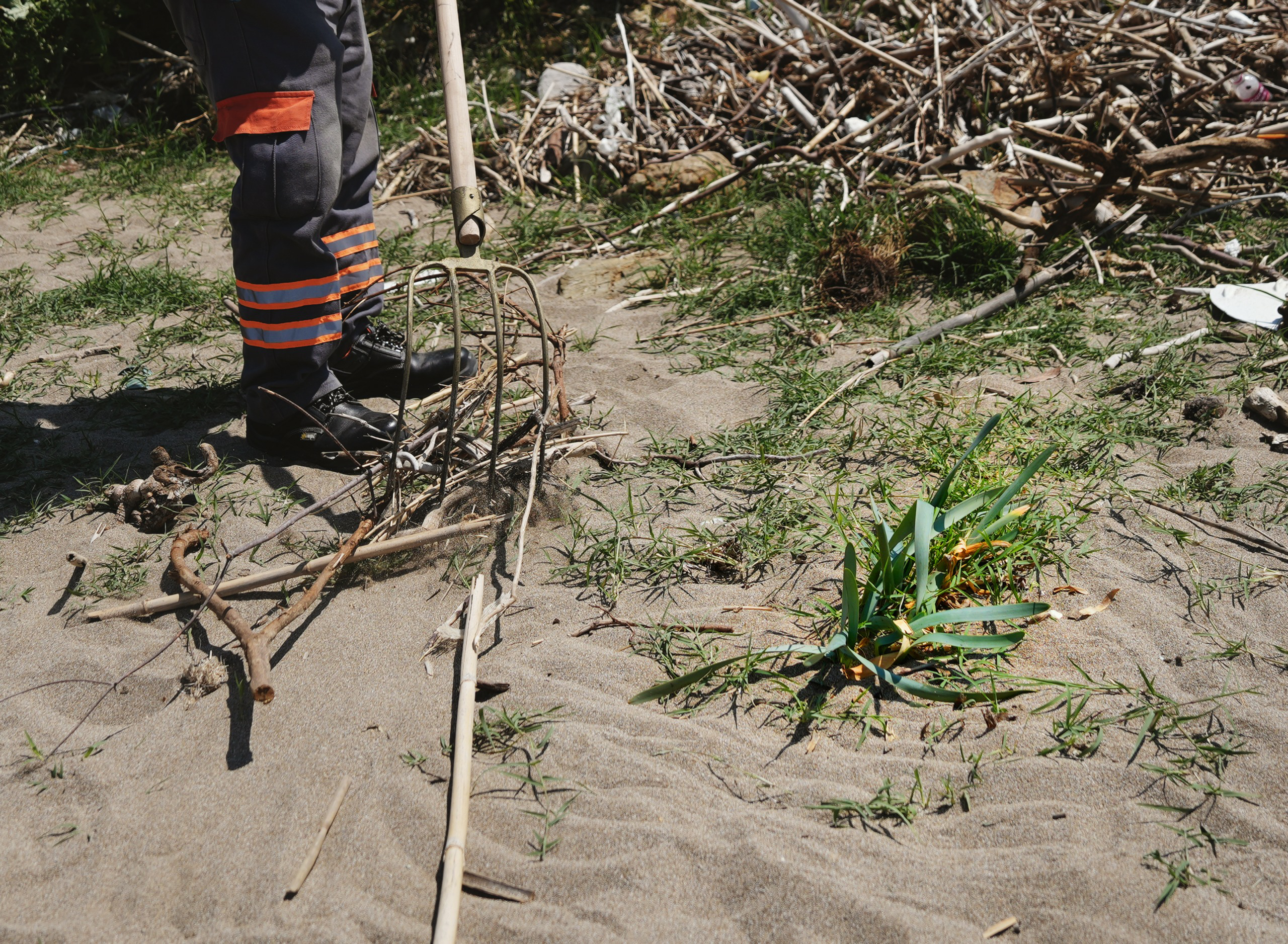 E3Cee5A6 8Bab 47D6 A443 E2331C89B0Fb