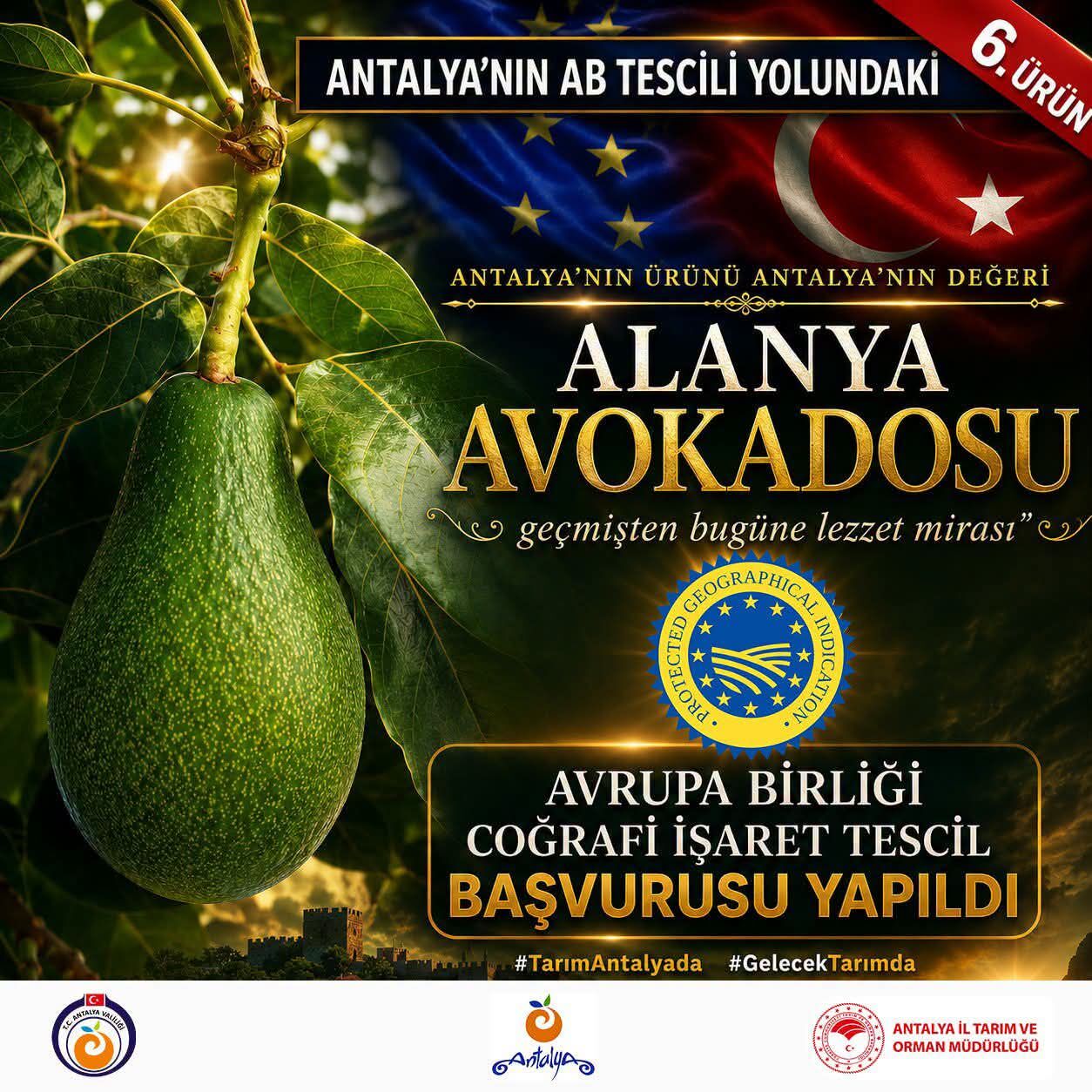 65Cdde92 28F1 4558 81D9 01Ce3554C1Ff