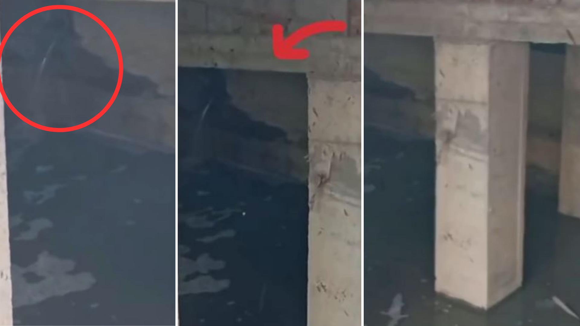 Alanyalı Turizmciden Sert Tepki: ''Bunu Yapan İnsan Olamaz''
